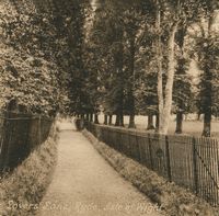 Picture of Old Ryde 1920.